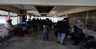 43 Afgan Uyruklu Kaçak Mülteci İstanbul Diye Rizeye Bırakıldı