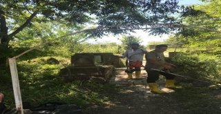 Tatvandaki Mezarlıklar Temizleniyor