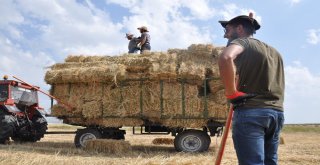 Karsta Sıcak Havada Çiftçilerin Ot Toplama Mesaisi