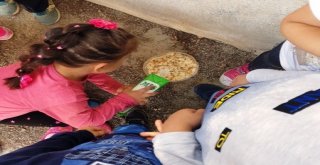 Minikler Bayat Ekmeklerden Sokak Hayvanlarına Mama Hazırlıyor