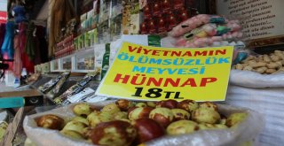 (Özel) Sağlık Deposu Meyveyi Türkiye Yeni Yeni Tanıyor