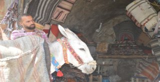 Yok Olmaya Yüz Tutmuş Semercilik Teknolojiye Direniyor