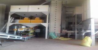 Çiftçiler, Ekim İçin Tohumluk Hazırlığına Başladı