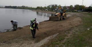 Kocaeli Sahillerinden 4 Günde 12 Kamyon Çöp Temizlendi