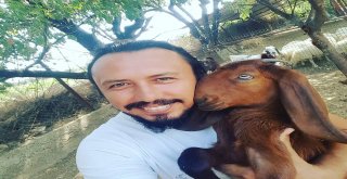 Mimarlıktan Hayvancılığa