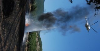 Bayramiçte Tarla Yangını