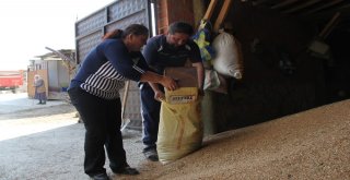 Eşini Kaybetti Mücadeleden Yılmadı Azmiyle Köylü Kadınlara Örnek Oldu