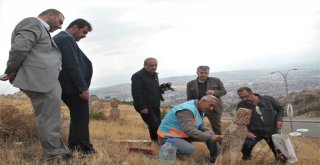 Mezar Taşları, Harputun Bin Yıllık İslam Yurdu Olduğunu İspatlıyor