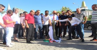 Antalyada Esnaftan Dolar Yakmalı ‘Kur Teşekkürü