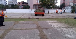 Bafrada Okul Bahçeleri Temizleniyor