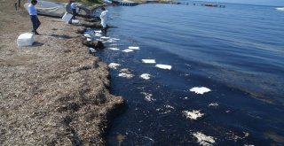 Yakıt Sızıntısının Rüzgarla İlerlememesi İçin Mücadele Veriliyor