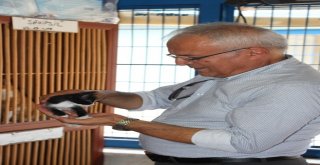 Vali Yardımcısı Ünsal  Hayvan Bakım Merkezini Denetledi