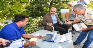 Vali Demirtaş: “Akdeniz Meyve Sineği Sorununu Köklü Şekilde Çözeriz