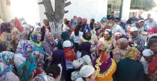 Hatim Cemiyeti Düğünü Aratmadı