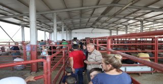 Mobil Kesim Üniteleri Hijyen Ve Güvenin Adresi Oldu