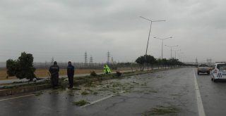 Batmanda Trafik Kazası: 1 Yaralı