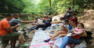 Kayalıdere Şelaleleri Ziyaretçi Akınına Uğruyor