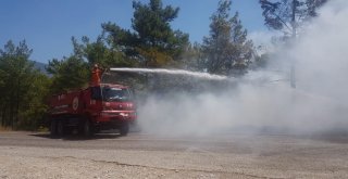 Antalyada Orman Yangını (1)