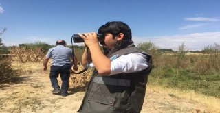Dkmp Ekiplerinin Hafta Sonu Kaçak Avcı Mesaisi
