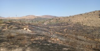 Bodrumda 6 Hektarlık Alan Kül Oldu