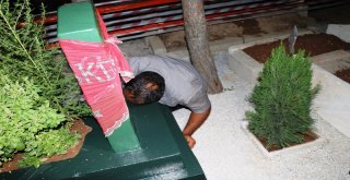 (Özel) Oğlunun Ölümüne Dayanamayan Baba Mezarı Başında Yatıyor