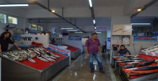 Fırtına Nedeniyle Balıkçılar Deniz Açılamayınca Palamut Fiyatını İkiye Katladı