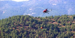 Bursada 2 Orman Yangını Çıktı, Ekipler Anında Müdahale Etti