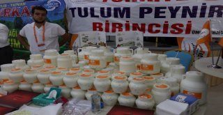 Doğu Anadolunun Birbirinden Lezzetli Peynirleri Bitliste Buluştu