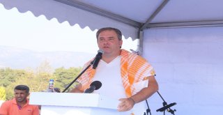 Bucada Renkli Bağ Bozumu Şenliği