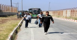 52 Bin 114 Suriyeliden 49 Bini Türkiyeye Döndü