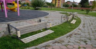 Şehir Magandaları İş Başında