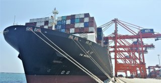 Mersinin Avrupaya Olan İhracatı Arttı