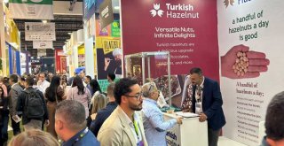 GÜNEY YARIM KÜRE TÜRK FINDIĞI İLE BULUŞTU