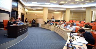 Kepezden Yatırımcı Bütçe