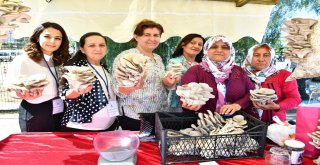 Büyükşehirden Kirazlı Kadınlara Bir Destek Daha