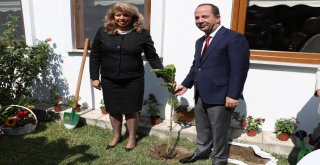 Bulgaristan Cumhurbaşkanı Yardımcısı Yotova Edirnede