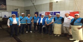 Balkanlara Kardeş Eli