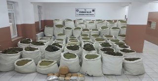 Tuzak İmha Edildi, Pkknın Finans Kaynağına Darbe Vuruldu