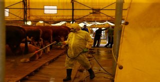 Başakşehir, Kurban Bayramına Hazır