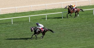 Başkanlık Koşusunda Kazanan Montana