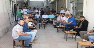 Başkan Atilladan Çınar Ve Bismile Çıkarma