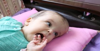 Şifa Bebek Hayata Tutundu