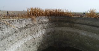 Obruk Sayısı Artıyor, Çevrede Hayat Devam Ediyor