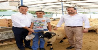 Başkan Dündar Kurban Pazarını Gezdi