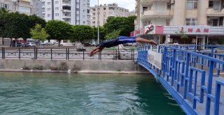 Adanada Termometreler 48 Dereceyi Gösterdi, Köpekler Göle Girdi