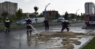 Sigara İzmariti Saman Balyalarını Tutuşturdu