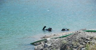 Kayıp Evrimi Balık Adamlar Arıyor