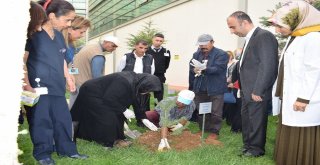 Malatya Eğitim Ve Araştırma Hastanesinde Anlamlı Etkinlik