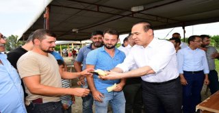 Karpuz Üreticilerinden Başkan Sözlüye Teşekkür