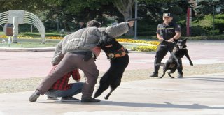 Petzoo Ankara Fuarı 2İnci Kez Kapılarını Açtı